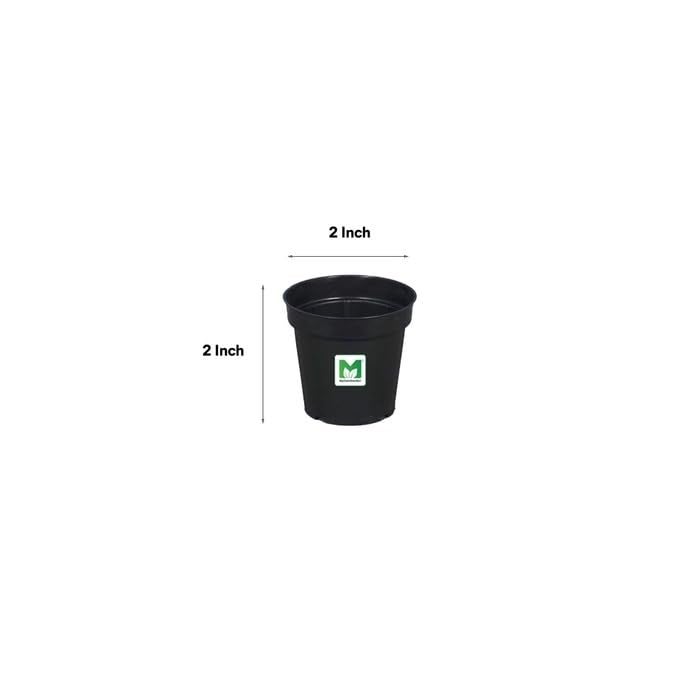 MyOwnGarden Seedling Pots 2 inch Black Plastic Nursery Pot, Small Planter Starting Pots with Drainage Holes, Strong Nursery Pots for Starting Transplanting Plants (100) - Image 2