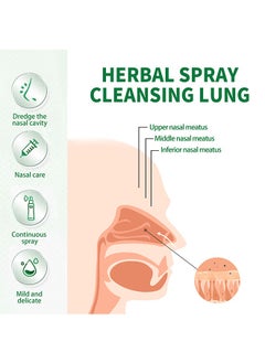 SOUTH MOON Herbal Spray Cleansing Lung,Natural Throat Oral Spray, Repair damaged airways and lungs with Lung Cleansing Mist，Relieves Throat and Nasal Discomforts Throat 20ml  - Image 4