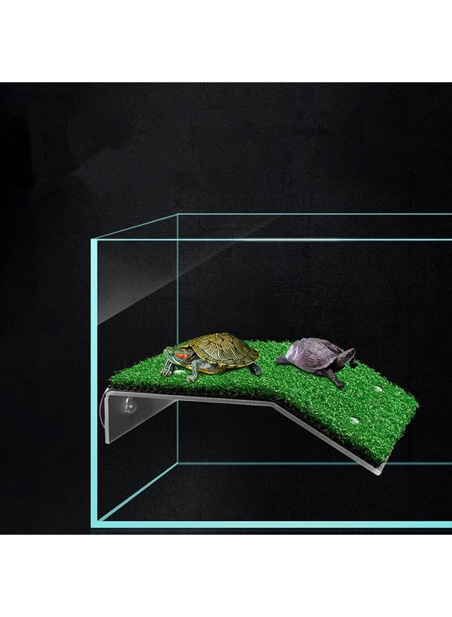 دوبل وود منصة استحمام سلحفاة عشبية من DoubleWood، منصة استحمام سلحفاة عشبية، منحدر محاكاة لحوض السلاحف، لسلحفاة ضفدع زواحف صغيرة (كبيرة) - Image 4