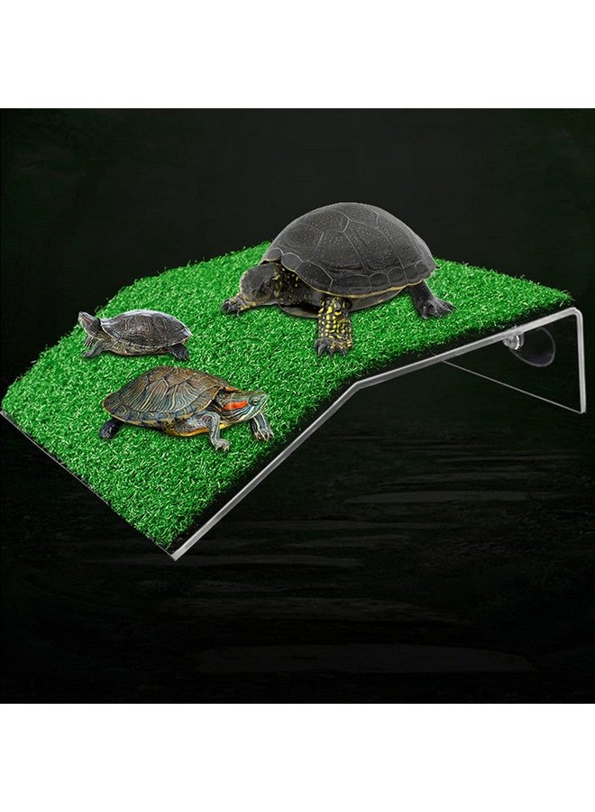 دوبل وود منصة استحمام سلحفاة عشبية من DoubleWood، منصة استحمام سلحفاة عشبية، منحدر محاكاة لحوض السلاحف، لسلحفاة ضفدع زواحف صغيرة (كبيرة) - Image 1