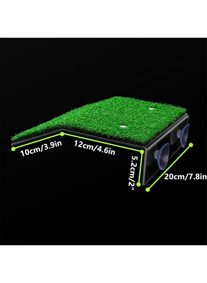 دوبل وود منصة استحمام سلحفاة عشبية من DoubleWood، منصة استحمام سلحفاة عشبية، منحدر محاكاة لحوض السلاحف، لسلحفاة ضفدع زواحف صغيرة (كبيرة) - Image 2
