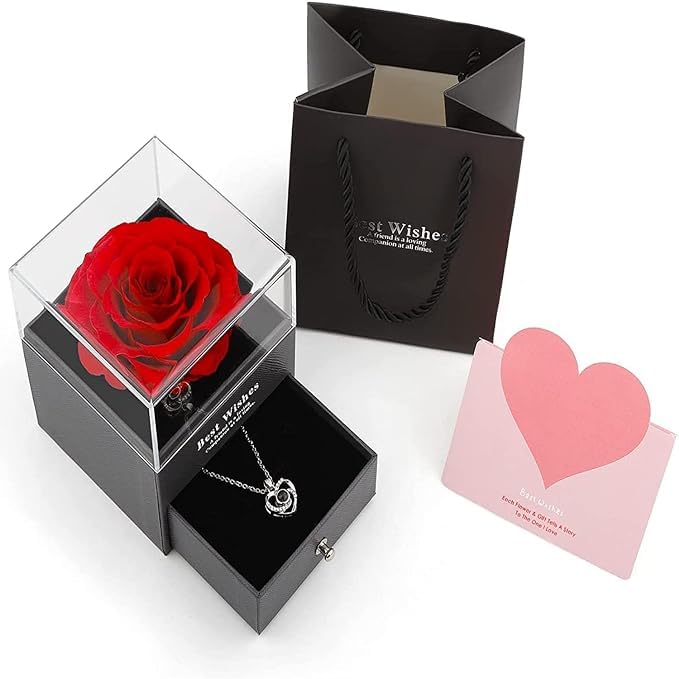 PRIMIL Preserved Rose with Heart Love You Necklace in 100 Languages Gift Set Flower Gift for Girlfriend Wife Mom on Mothers Day Valentines Day Anniversary Christmas Birthday Gift for Women - Image 2