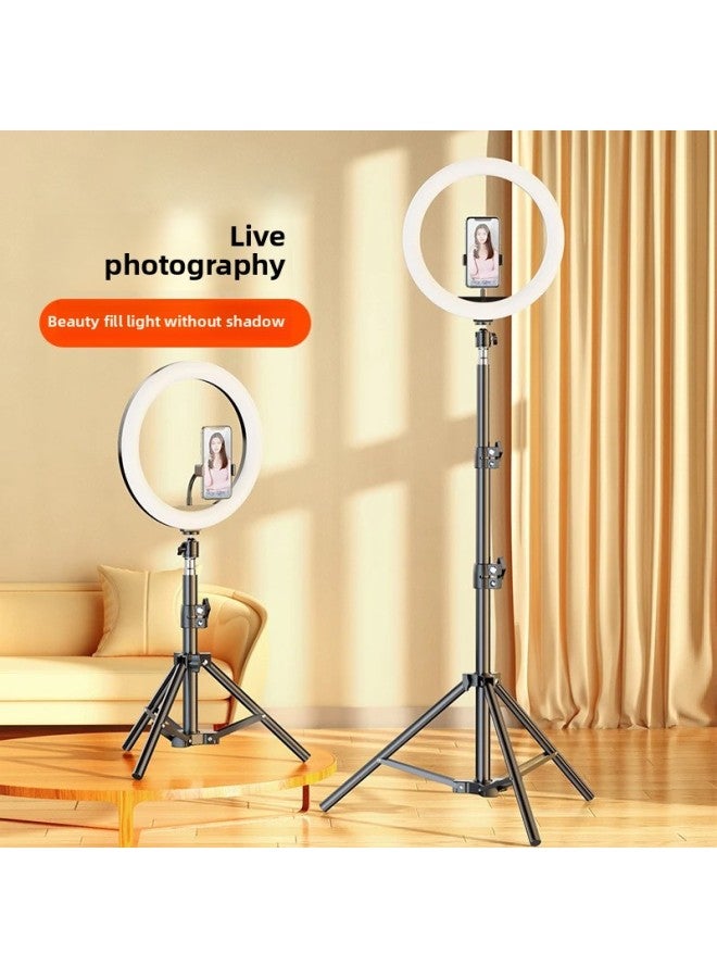 general Mobile Phone Live Photography Bracket Desktop Portable Photography Three-color Warm Large Aperture Lighting 22 Inch Beauty Ring Light-Specifications:【fill Light】 22inch Ring Light (touch) - Image 2