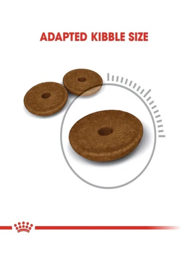 Royal Canin Feline Nutrition Digestive Care Cat Dry Food - 4KG - Image 3