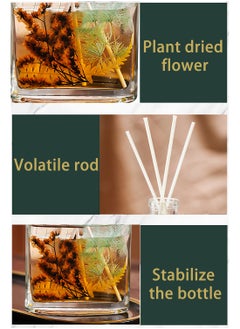 JULY WND Flower Reed Diffuser with Incense Diffuser Sticks and Preserved Flower Flame Free Long Lasting Natural Elegant Air Freshener Odor Eliminator for Home Office Bedroom Gift 120ml Woody Freesia Aroma  - Image 4