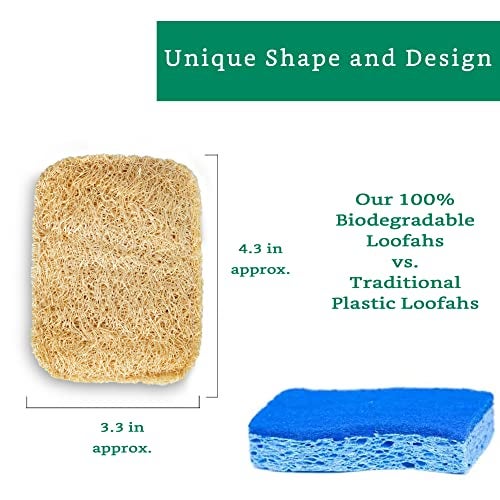 LooLife Natural Loofah Kitchen Sponge (3 Pack) - Natural Sponges for Dishes - Eco Friendly and Compostable Sponges - Plant Based Kitchen Dish Biodegradable Sponge - Image 2