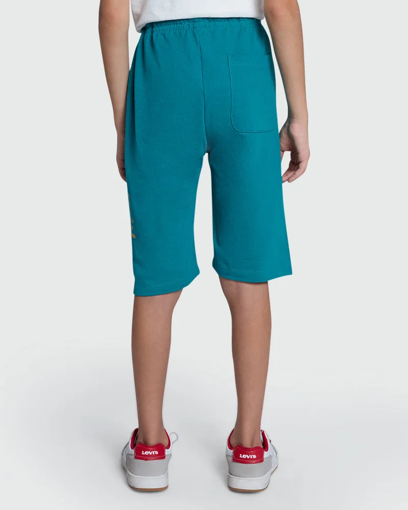 Ovs Fanfare Green Mod H Shorts From For Boys