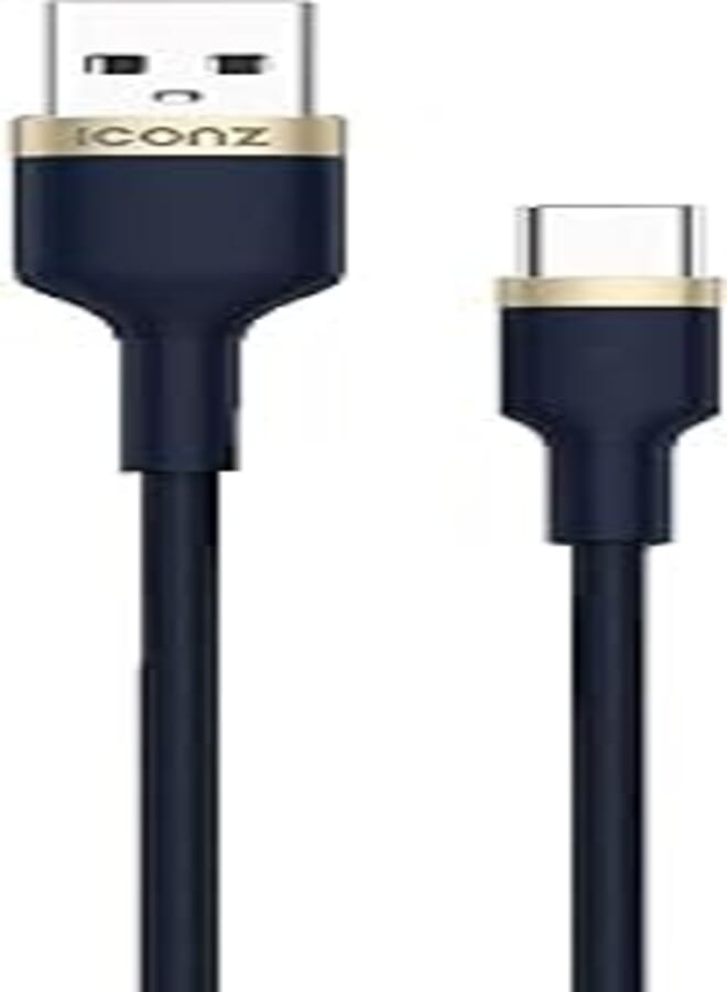 Braided Type C Cable Navy Gold 1m