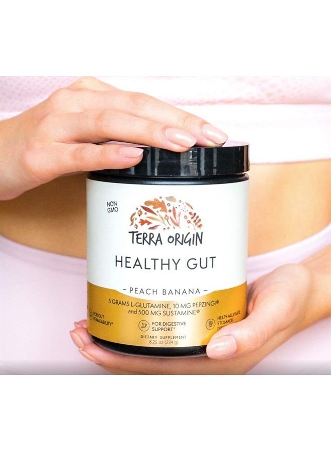 Terra Origin Healthy Gut Peach Banana | 3-Pack, 90 Servings (Three 30-Serving tubs) with L-Glutamine, Zinc, Glucosamine, Slippery Elm Bark, Marshmallow Root and More!  - Image 3