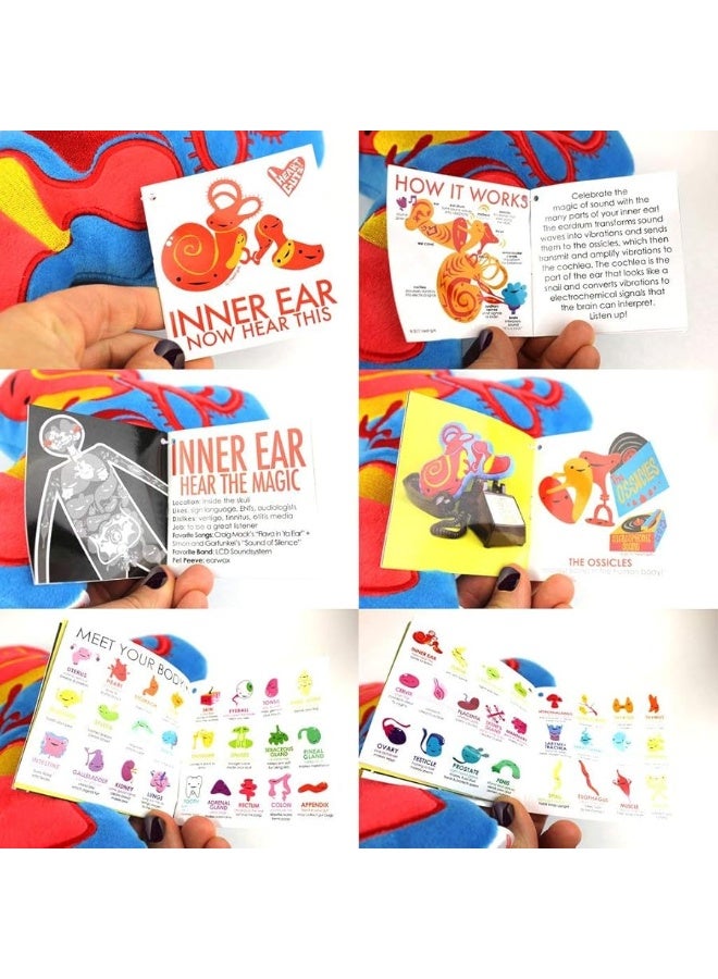 I Heart Guts Inner Ear Plush - Now Hear This - 12" Audiology ENT Gift Stuffed Toy - Image 2