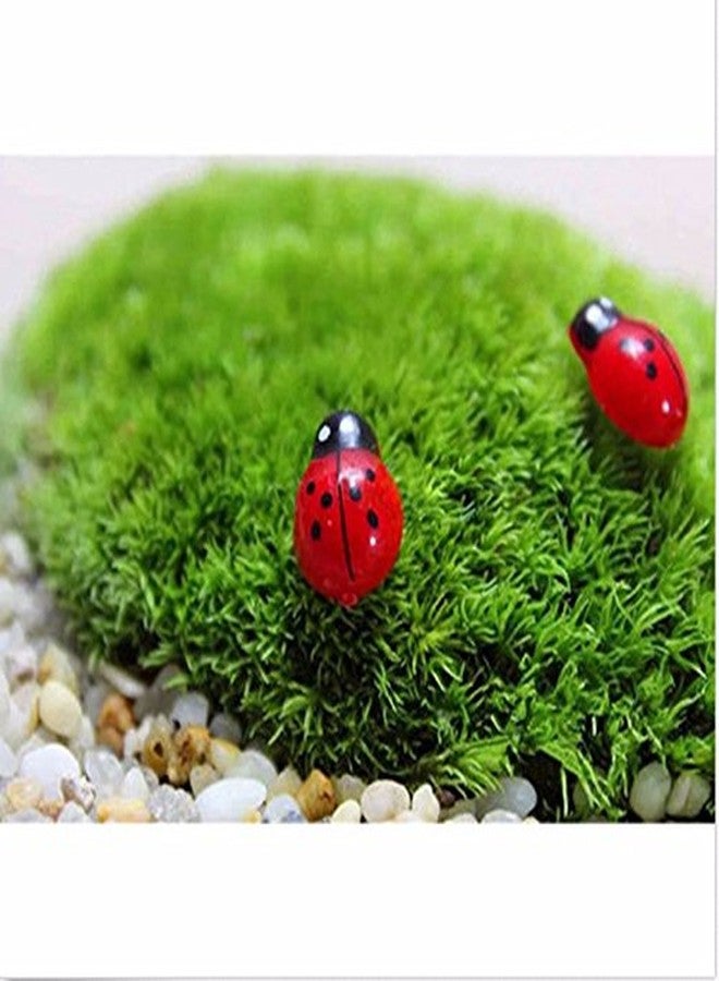 Krisah Wooden Miniature Honey Bees and Lady Birds Sticker Self-Adhesive Red & Yellow 25 pcs Each - Image 5
