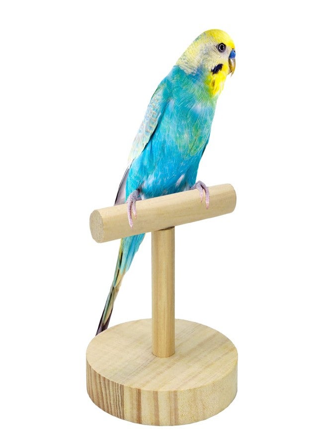 Litewoo Parrot Perch Bird Stand Natural Wood Quartz Sand Birdcage Play Gym T Perch Fits for Budgies Parakeet Cockatiel Conure Lovebirds B - Image 1