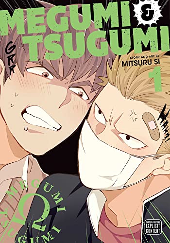 Megumi And Tsugumi Vol 1 