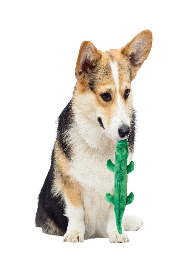 SPOT Crunch and Squeak Plush Dog Toy - Crinkle Bottle Squeaker for Medium Puppies & Dogs, Light to Moderate Chewers, Assorted Styles - Image 1