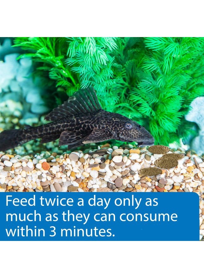 API Algae Eater Wafers Fish Food, 1.3 Oz, multicolor - Image 3