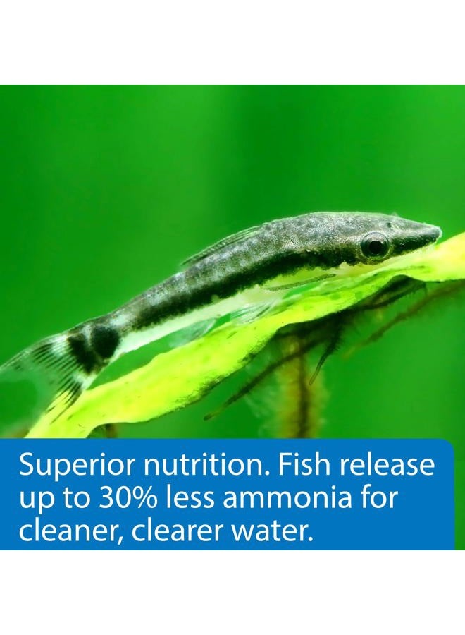 API Algae Eater Wafers Fish Food, 1.3 Oz, multicolor - Image 4