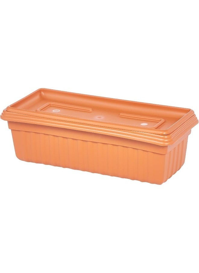 Cosmoplast Small Exotica Planters With Tray-L49 x w 21 h 16 cm (Terracotta) Terracotta  - Image 3