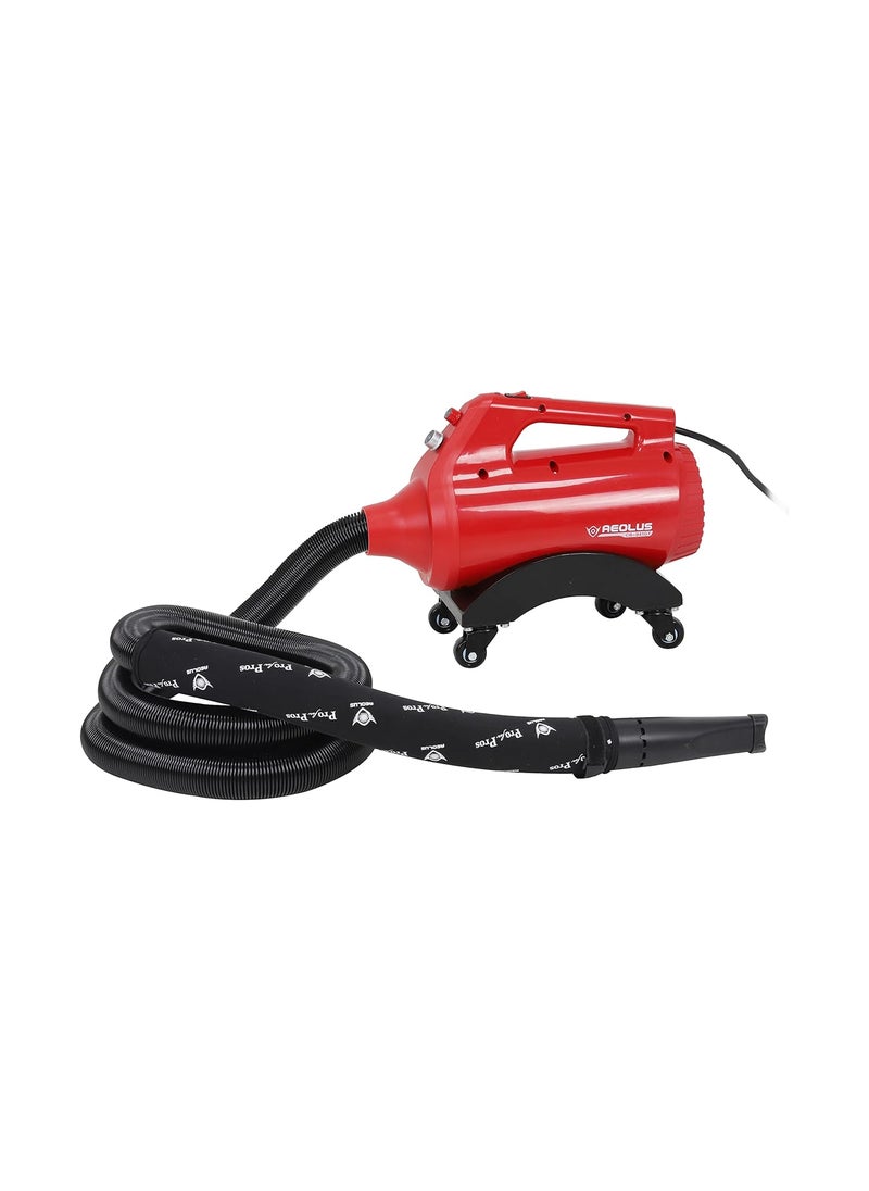 Aeolus Aeolus Car Dryer Blower Powerful Motor Wind Speed Control Jet Nozzle Max Power 2400 W Easy to Use  - Image 1