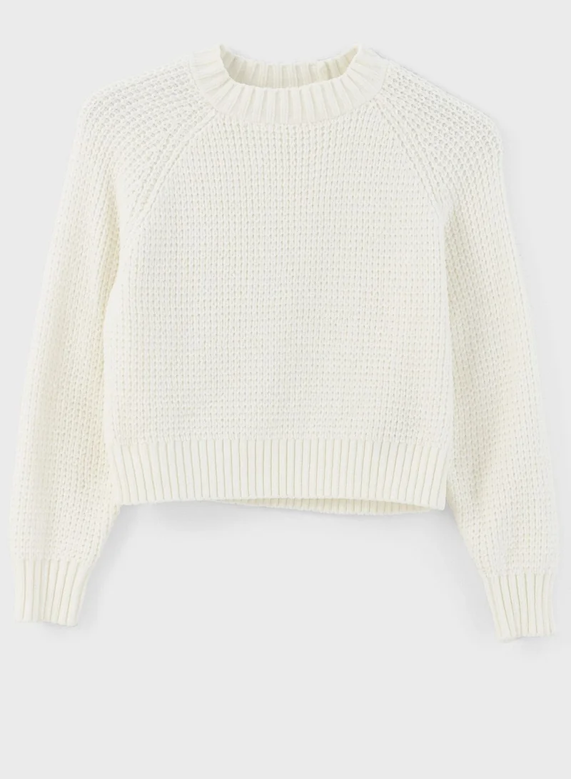 LC WAIKIKI Knitted Crop Sweater