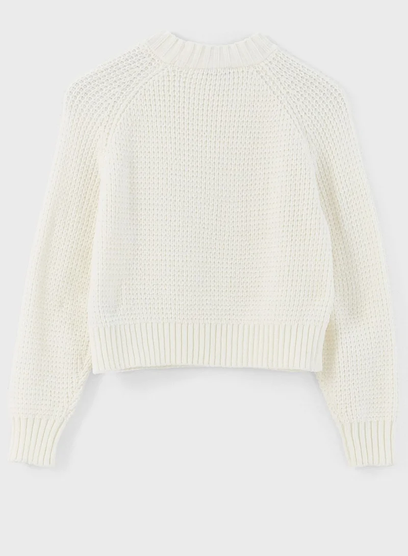 LC WAIKIKI Knitted Crop Sweater