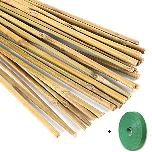 Yowlieu 20 Pcs Natural Bamboo Stakes + 1 Roll Garden Ties, 18 Inches Bamboo Sticks Gardening Plant Support Stakes for Indoor Plants, Tomato, Potted Plants - Image 1