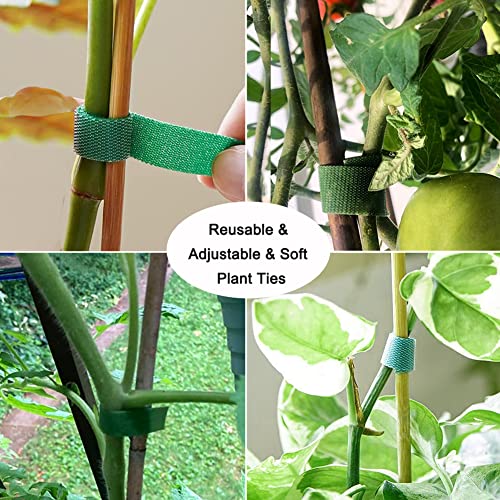 Yowlieu 20 Pcs Natural Bamboo Stakes + 1 Roll Garden Ties, 18 Inches Bamboo Sticks Gardening Plant Support Stakes for Indoor Plants, Tomato, Potted Plants - Image 3
