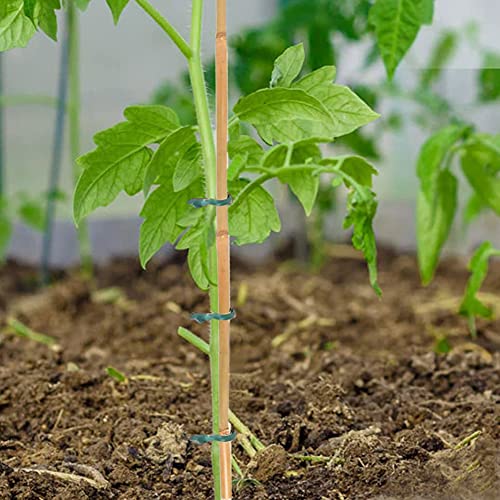Yowlieu 20 Pcs Natural Bamboo Stakes + 1 Roll Garden Ties, 18 Inches Bamboo Sticks Gardening Plant Support Stakes for Indoor Plants, Tomato, Potted Plants - Image 4
