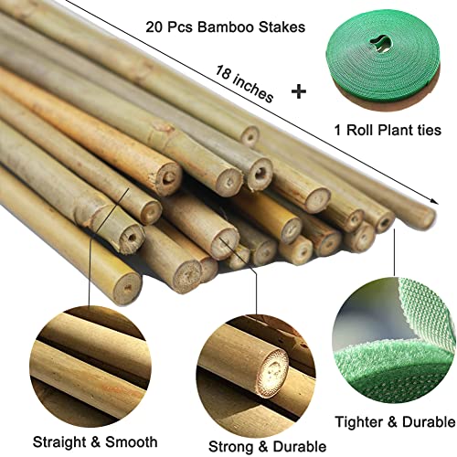 Yowlieu 20 Pcs Natural Bamboo Stakes + 1 Roll Garden Ties, 18 Inches Bamboo Sticks Gardening Plant Support Stakes for Indoor Plants, Tomato, Potted Plants - Image 2