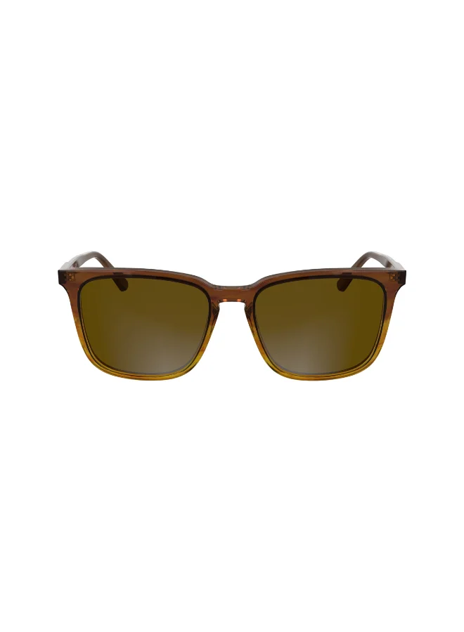 كالفن كلاين FULL RIM ACETATECALVIN KLEIN SUN CK25507S N