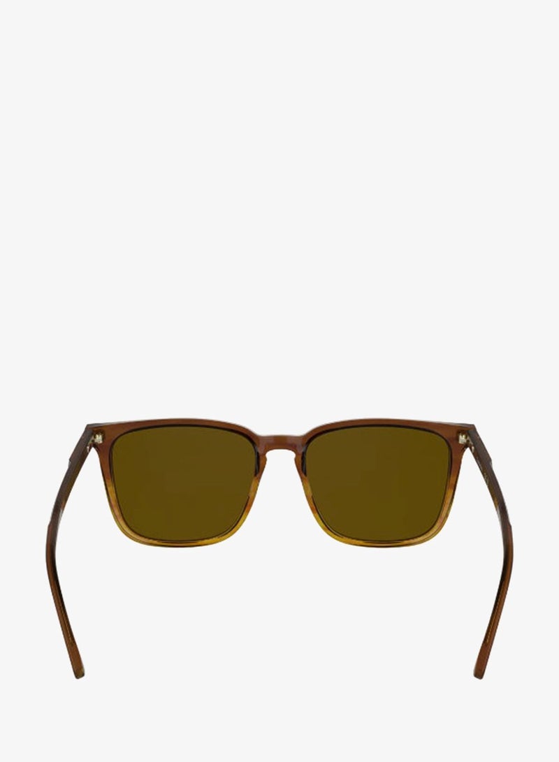CALVIN KLEIN FULL RIM ACETATECALVIN KLEIN SUN CK25507S N - Image 5