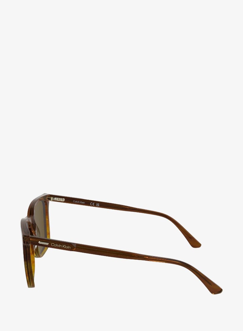 CALVIN KLEIN FULL RIM ACETATECALVIN KLEIN SUN CK25507S N - Image 3