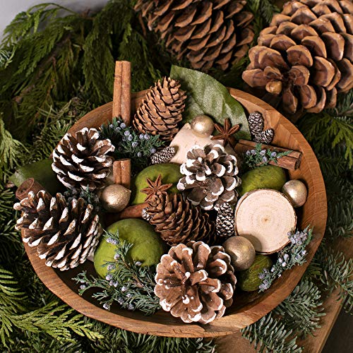 ANDALUCA Evergreen Pine Scented Potpourri | Made in California | 20 oz Bag + Fragrance Vial - Image 2