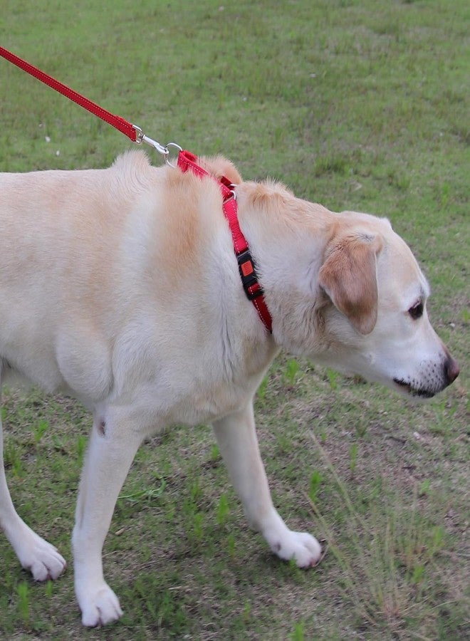Joytale Martingale Collar for Dogs, Reflective Heavy Duty for Safety, Quick Release Buckle, Adjustable Nylon Collars for Small Dogs Walking Training, Red,S - Image 4