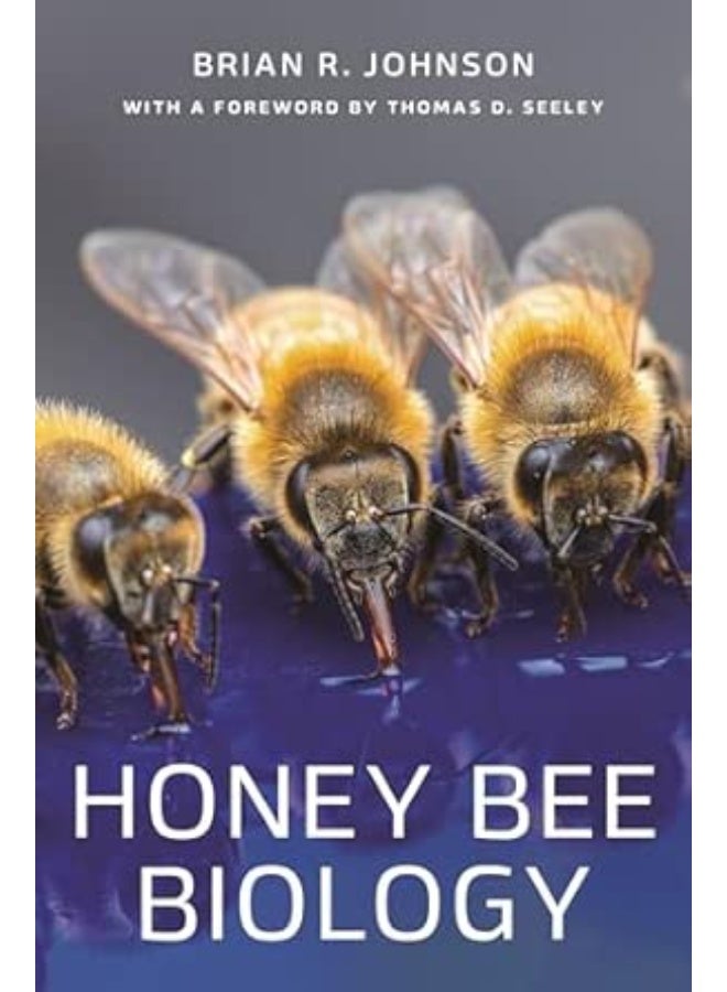 honey bee biology