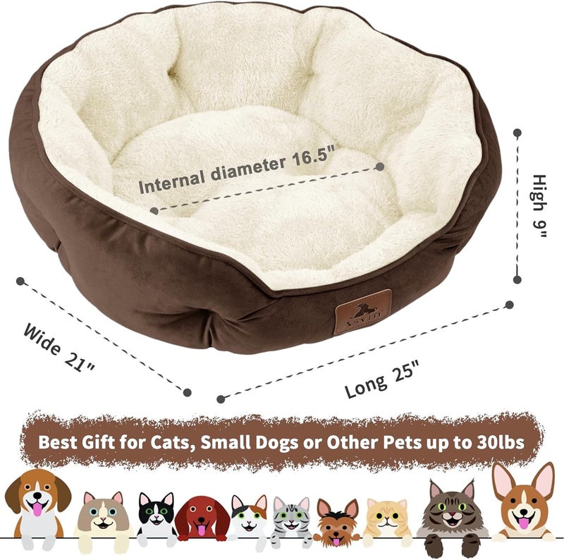 Asvin Medium Dog Bed for Medium Dogs, Large Cat Beds for Indoor Cats, Pet Bed for Puppy and Kitty, Extra Soft & Machine Washable with Anti-Slip & Water-Resistant Oxford Bottom, Brown, 25 inches - Image 3