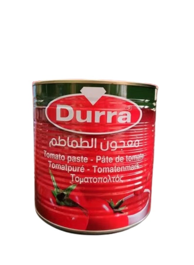 International Tomato Sauce 2800g