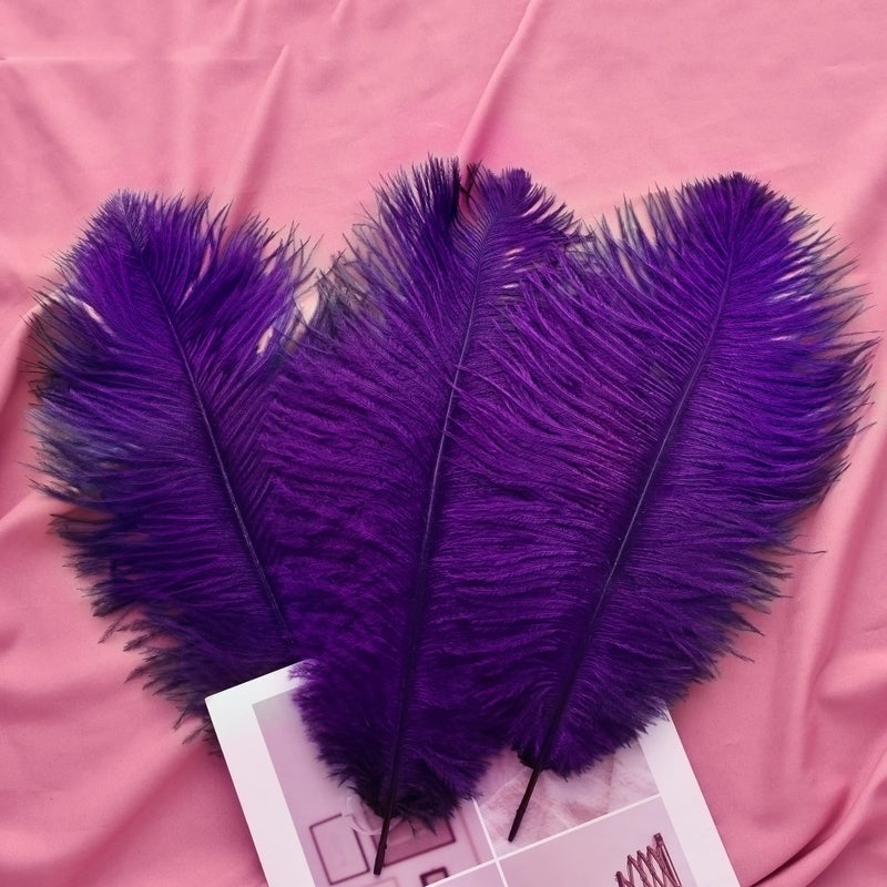 Ballinger Purple Ostrich Feathers Bulk - 24Pcs 10-12inch Feathers for Vase, Party Centerpieces Mardi Gras and Home Decor - Image 5