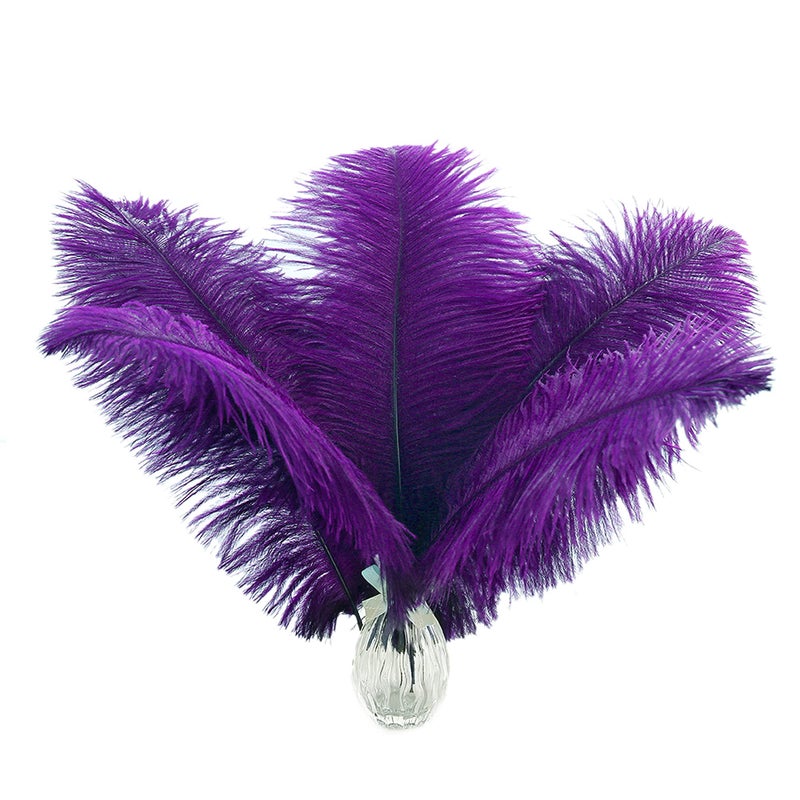 Ballinger Purple Ostrich Feathers Bulk - 24Pcs 10-12inch Feathers for Vase, Party Centerpieces Mardi Gras and Home Decor - Image 1