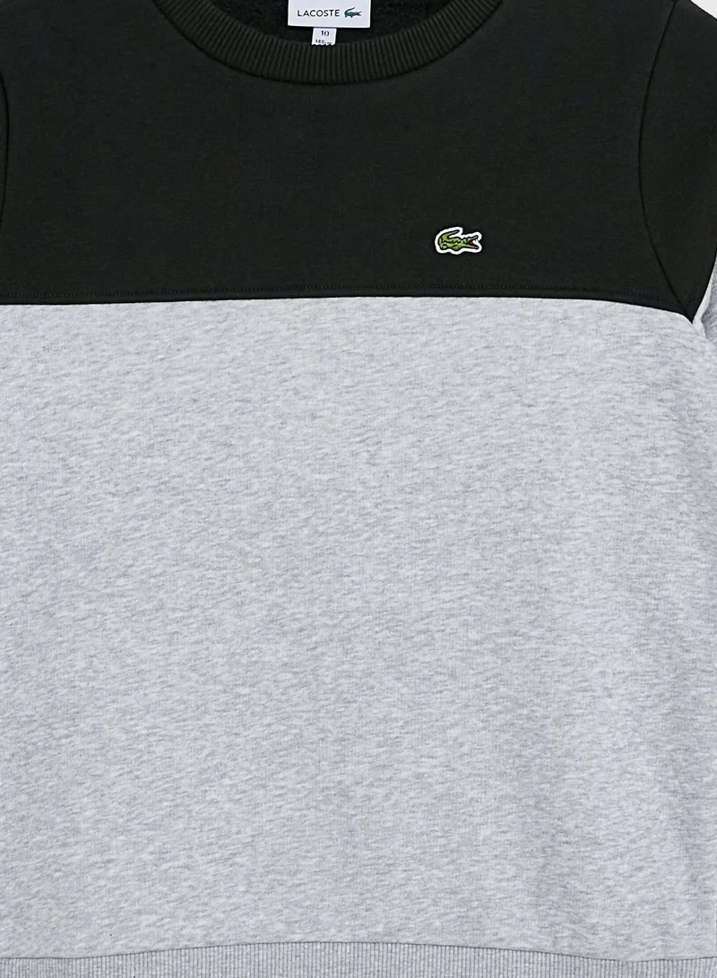 LACOSTE Kids Color Block Side Logo Sweatshirt