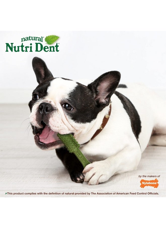 Nylabone - Nutri Dent Dog Dental Treats  Natural Dog Teeth Cleaning & Breath Freshener  Dental Treats For Dogs  Fresh Breath Flavor, Medium (40 Count) - Image 1