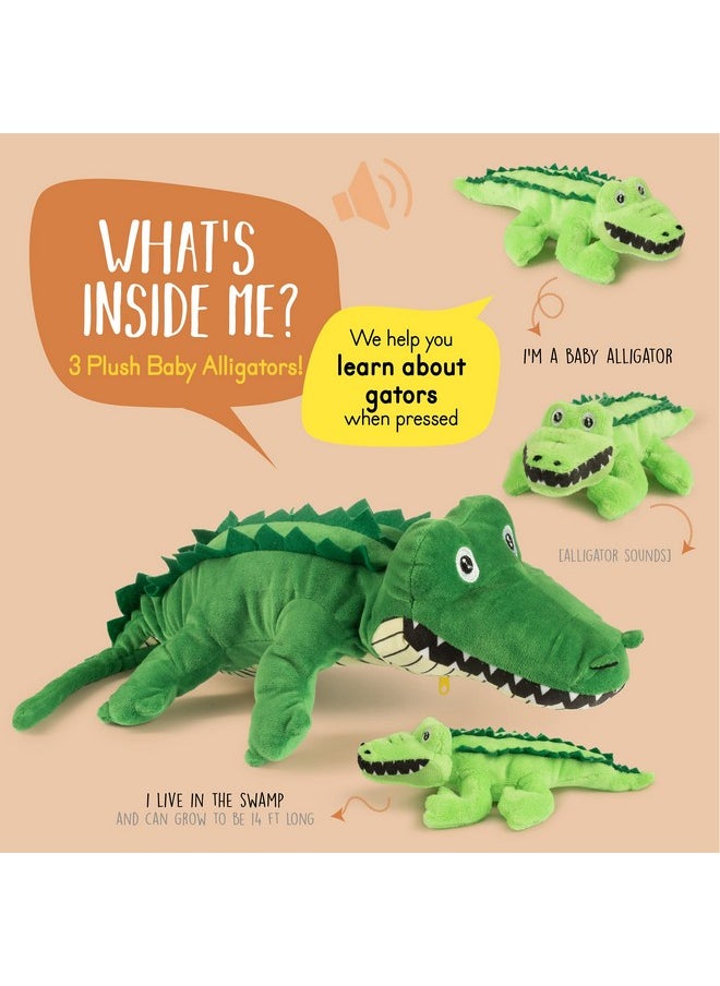 Plush Creations Talking Stuffed Mommy Alligator With 3 Baby Alligators In Her Tummy | Stuffed Animal Family | Stuffed Animal Mom And Baby | Baby Toy Stuffed Animals | Stuffed Animals For Ages 0+  - Image 2