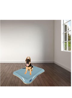 NNC PETS Dog Toilet for Training, Small breed dog potty Toilet with tray, Dog litter tray, for hygiene, Keep paws and floor clean, Portable, Easy To Clean, Durable, Blue Color, Small Size 64 Cm L  - Image 5