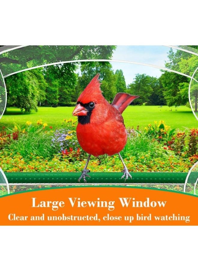 Eoptify - Outdoor Bird Feeder with 4 Suction Cups Transparent Container for Hummingbirds, Parrots, and Wild Birds for Balcony, Window, and Trees - Image 1