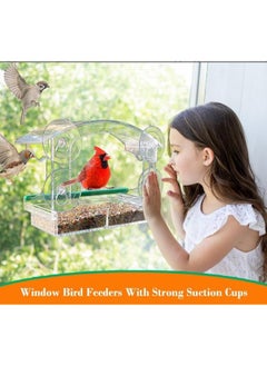 Eoptify Outdoor Bird Feeder with 4 Suction Cups Transparent Container for Hummingbirds, Parrots, and Wild Birds for Balcony, Window, and Trees  - Image 5