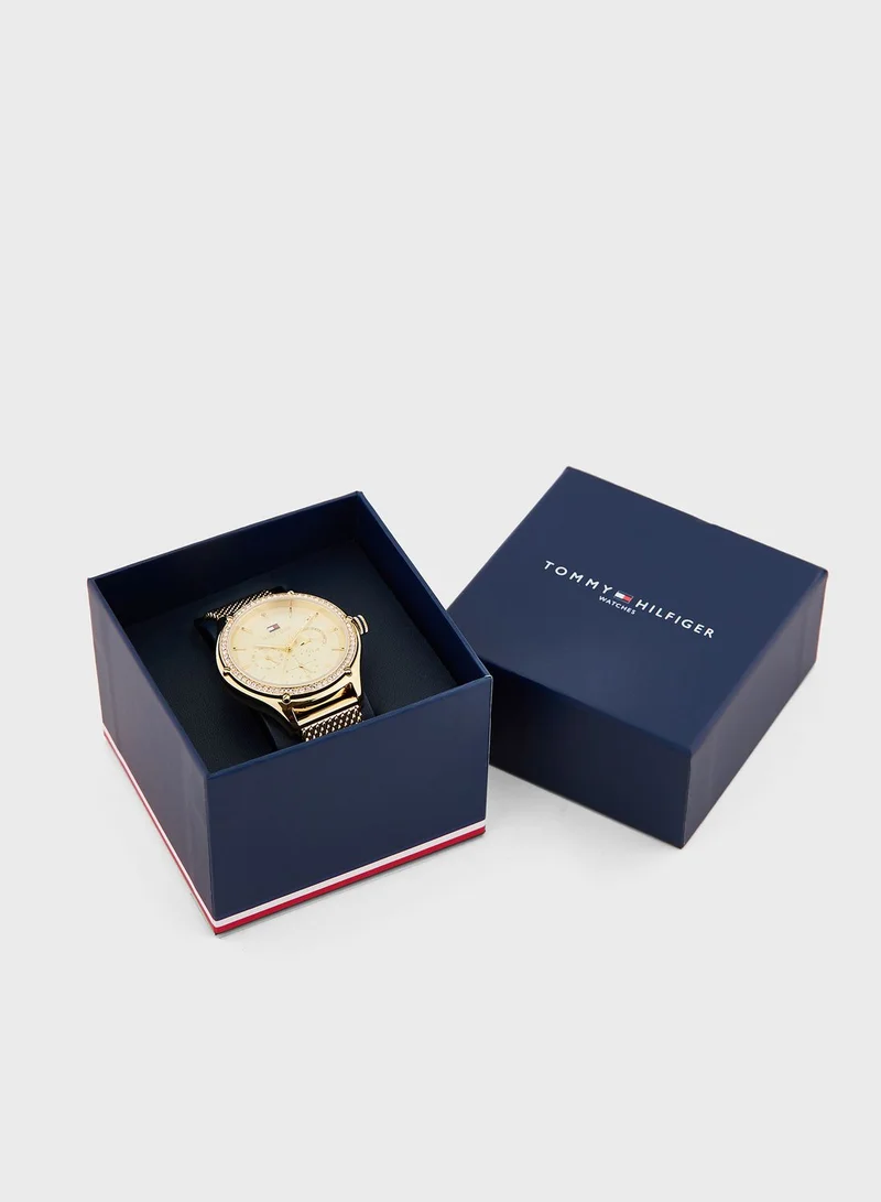 Tommy Hilfiger  Women's Multifunction Watch, Gold Dial, Gold Stainless Steel Strap for Women | Best Price UAE