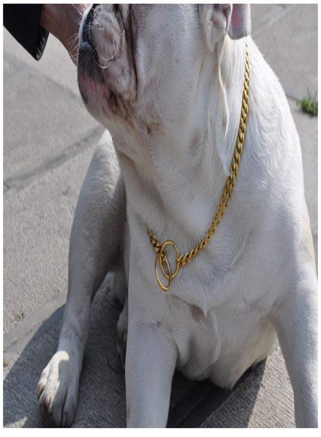 Pet Believe Brass Heavy Duty Diamond Cut Gold Cat Dog Choke Chain Training Dog Collar (Large: 24 Inch) Size12 No. - Image 3