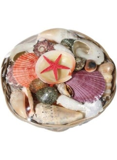 Graffiti Resin Decorative Seashells Basket  - Image 1