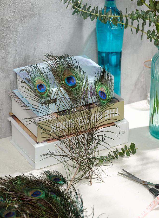 Piokio 50 pcs Peacock Feathers in Bulk 10-12 inch(25-30 cm) Bulk for DIY Craft, Craft Vase Wedding Home Party Christmas Day Decoration