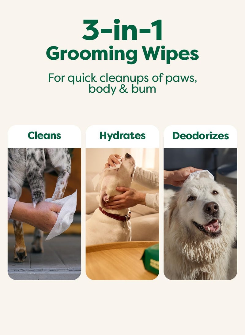 Earth Rated XL Pet Wipes for Dogs & Cats, Unscented Hypoallergenic, 60 Ct - Image 5