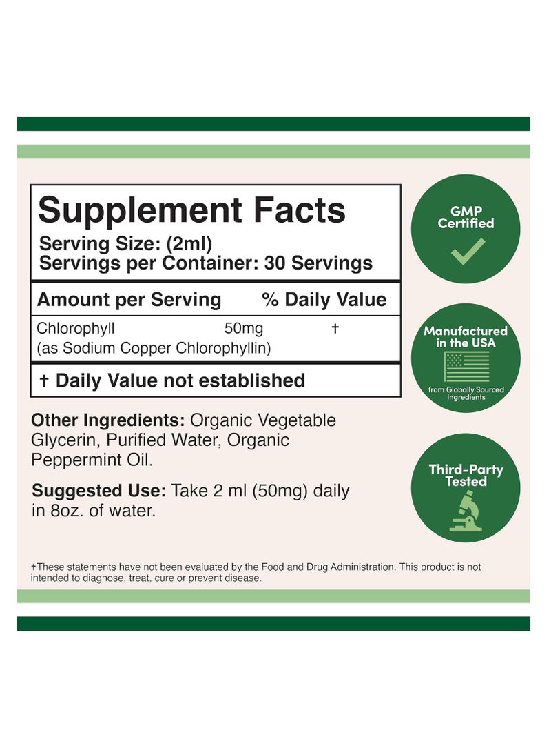 Double Wood Supplements Liquid Chlorophyll Drops for Skin Health and Immune Function 50 mg 120 doses - Image 2